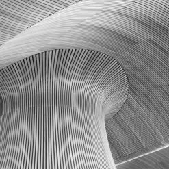 Timber and wood derivatives